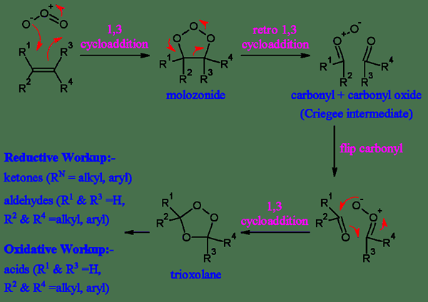 Différence entre ozonolyse oxydative et réductrice