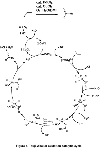 Unterschied zwischen Oxo und Wacker -Prozess