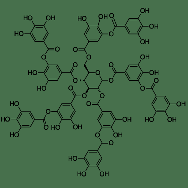 Différence entre les phénols et les polyphénols