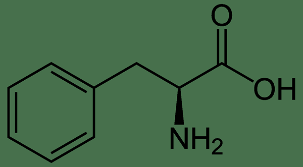 Unterschied zwischen Phenylalanin und Tyrosin