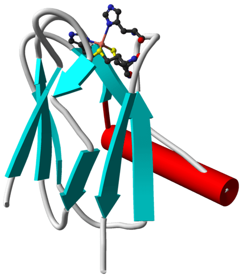 Perbezaan antara plastoquinone dan plastocyanin