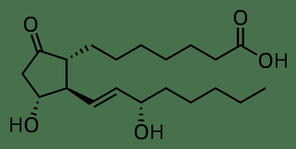 Perbedaan antara prostaglandin dan leukotrienes