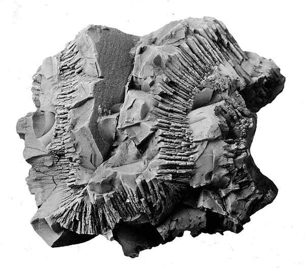 Différence entre pyrolusite et psilomélane