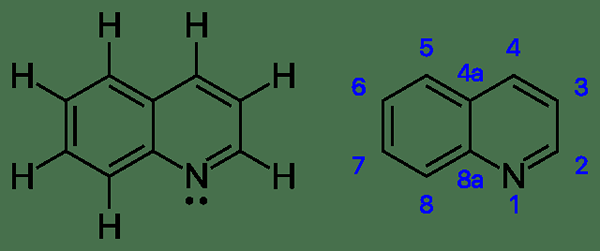 Perbezaan antara quinoline dan isoquinoline