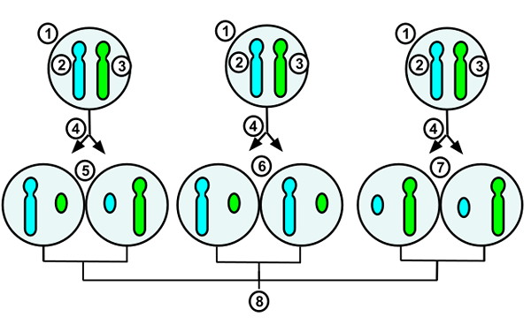 Différence entre l'inactivation x aléatoire et imprimée