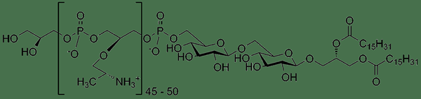 Différence entre le ribitol et l'acide du glycérol téichoïque