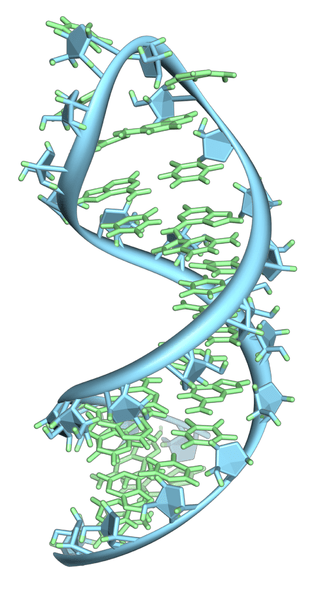 Perbezaan antara rRNA dan mRNA