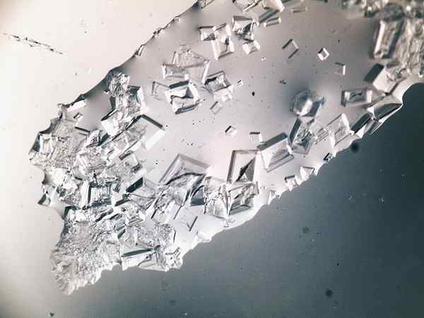 Différence entre le chlorure de sodium et le nitrate de sodium