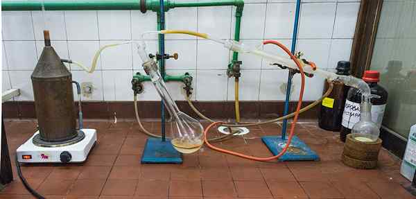 Unterschied zwischen Dampfdestillation und Hydrodistillation