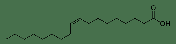 Unterschied zwischen Stearinsäure und Ölsäure