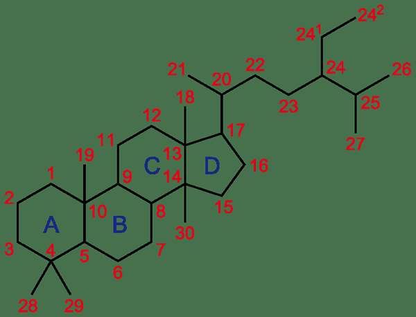 Diferencia entre esteroides y corticosteroides