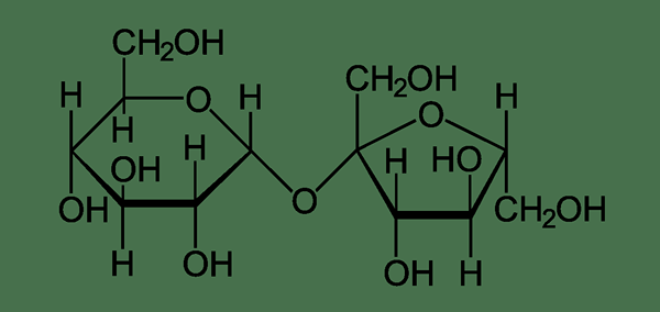 Unterschied zwischen Saccharose und Fruktose