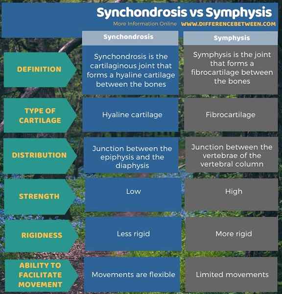 Différence entre la synchondrose et la symphyse