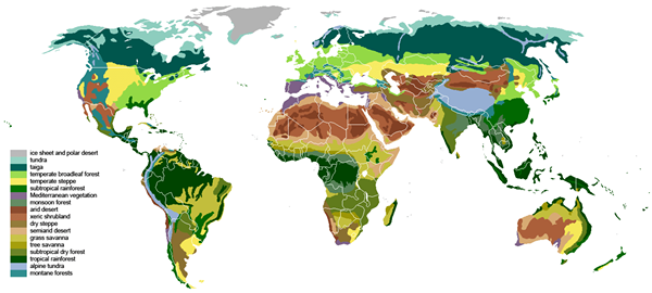 Diferencia entre los biomas terrestres y acuáticos