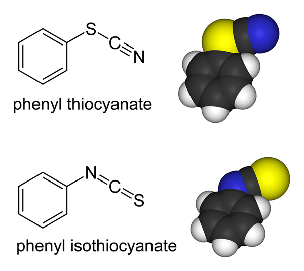 Unterschied zwischen Thiocyanat und Isothiocyanat