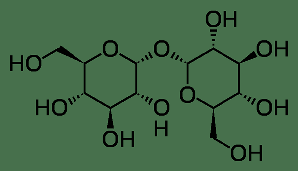 Unterschied zwischen Trehalose und Maltose