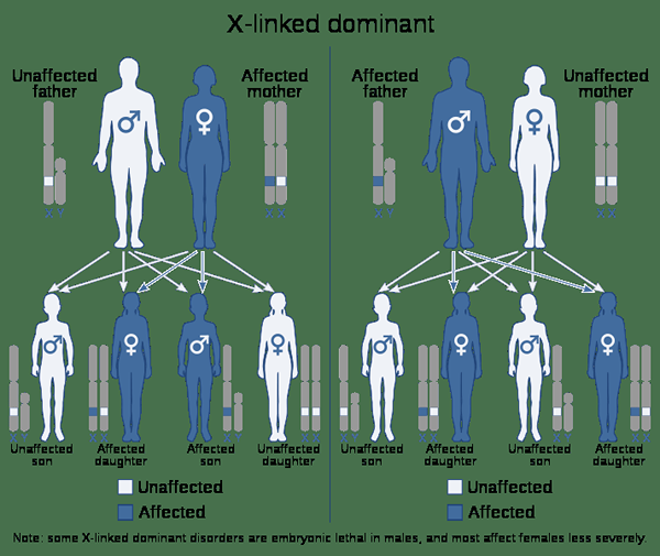 Perbezaan antara dominan dominan dan x berkaitan resesif