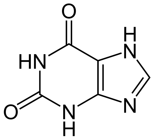 Différence entre xanthine et hypoxanthine