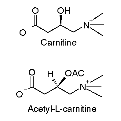 Apakah perbezaan antara acetyl-l-carnitine dan propionyl-l-carnitine