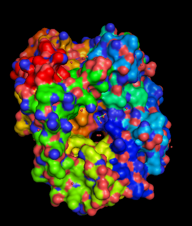 Quelle est la différence entre l'acide phosphatase et la phosphatase alcaline