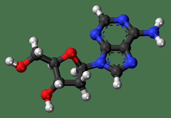 Apakah perbezaan antara adenosin dan deoxyadenosine