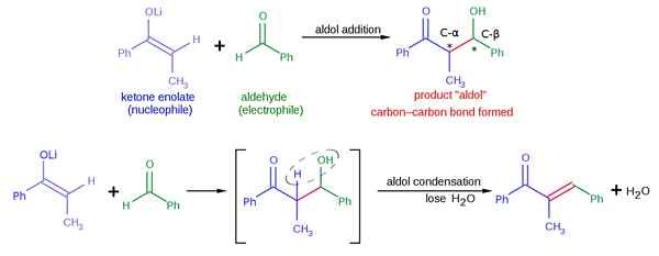 Was ist der Unterschied zwischen Aldol Addition und Aldol -Kondensation