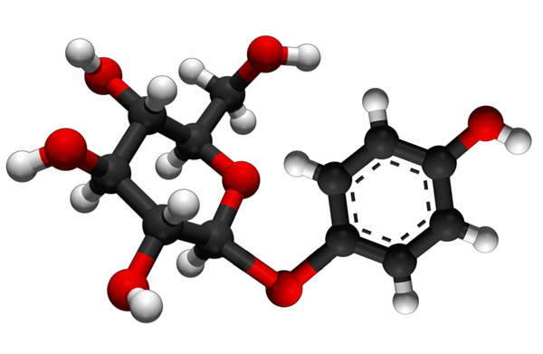 Quelle est la différence entre l'arbutine et l'alpha arbutine