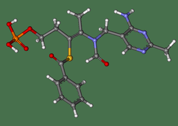 Was ist der Unterschied zwischen Benfotiamin und Thiamin