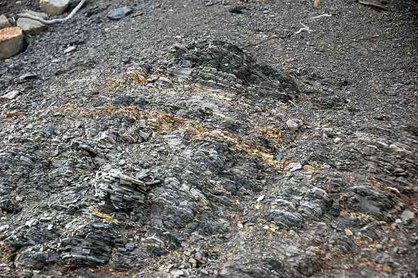 Apakah perbezaan antara tanah liat bentonit dan montmorillonite