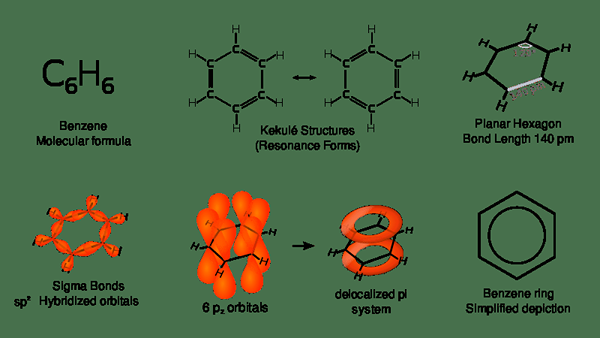 Quelle est la différence entre le benzène et le benzoate