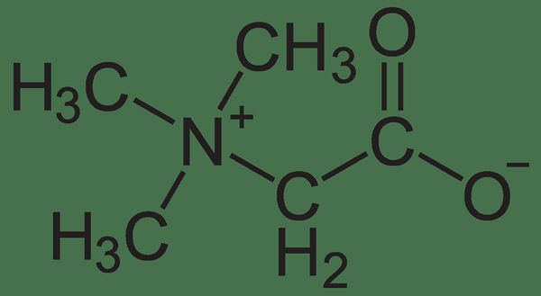 Apa perbedaan antara betaine dan betaine hcl