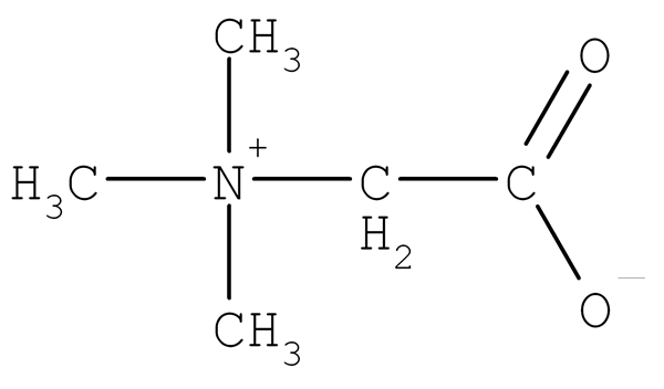 ¿Cuál es la diferencia entre Betaine y Ylide?