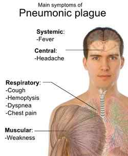 Quelle est la différence entre la peste bubonique et pneumonique