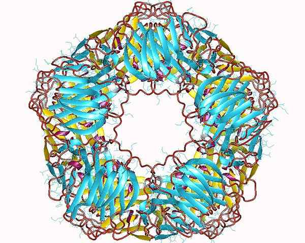 Apakah perbezaan antara protein C-reaktif dan kreatinin