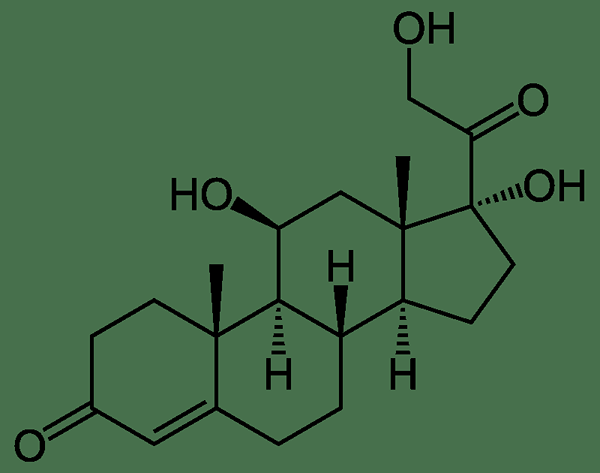¿Cuál es la diferencia entre catecolaminas y cortisol?