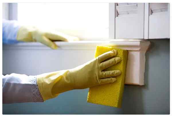 ¿Cuál es la diferencia entre la limpieza y la desinfección?