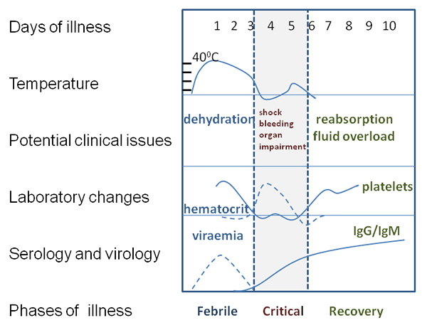 Was ist der Unterschied zwischen Dengue IgG IgM und NS1