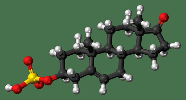 Was ist der Unterschied zwischen DHEA und Schwangerolon