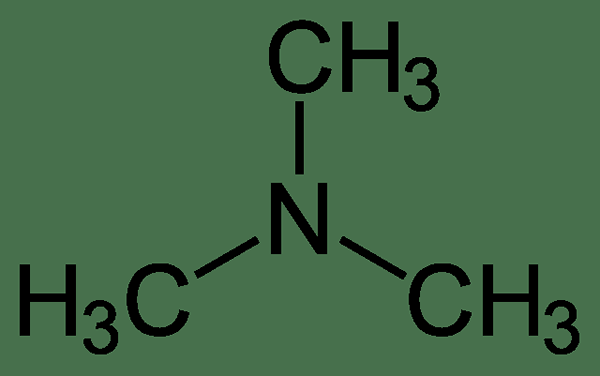 ¿Cuál es la diferencia entre dimetilamina y trimetilamina?