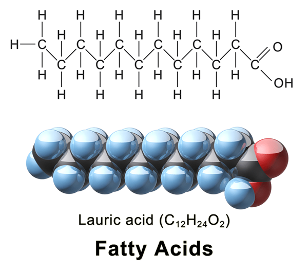 ¿Cuál es la diferencia entre el ácido graso y el aminoácido?