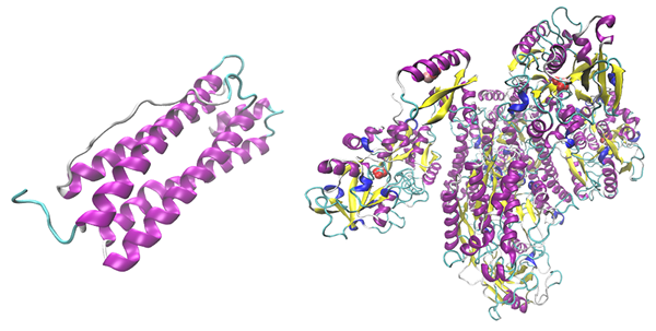 Apakah perbezaan antara ferritin dan hemosiderin