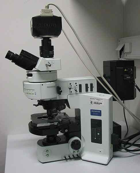 Apakah perbezaan antara mikroskopi pendarfluor dan mikroskopi confocal