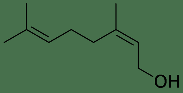 Quelle est la différence entre le géraniol et le néol