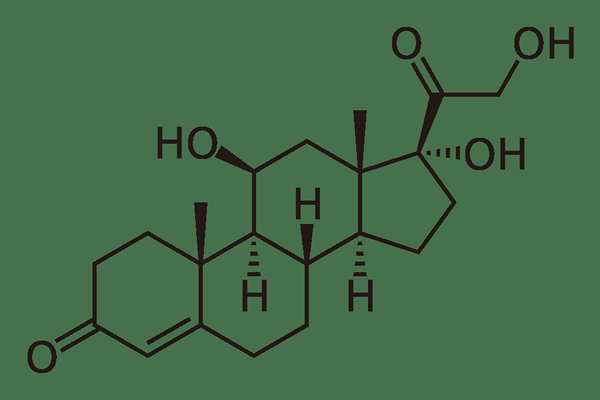 ¿Cuál es la diferencia entre glucocorticoides y mineralocorticoides?