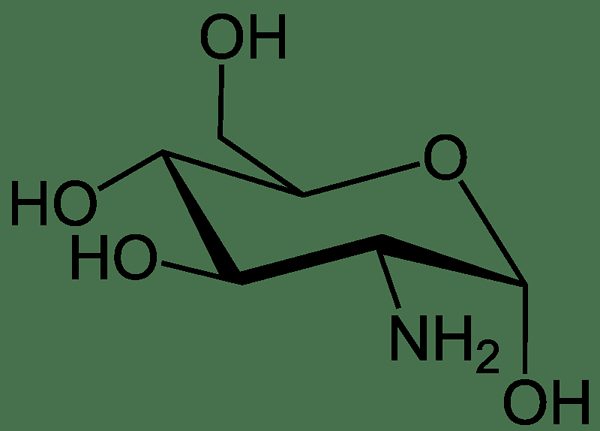 ¿Cuál es la diferencia entre el sulfato de glucosamina y el clorhidrato de glucosamina?