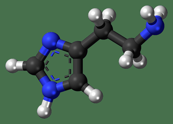 Was ist der Unterschied zwischen Histidin und Histamin