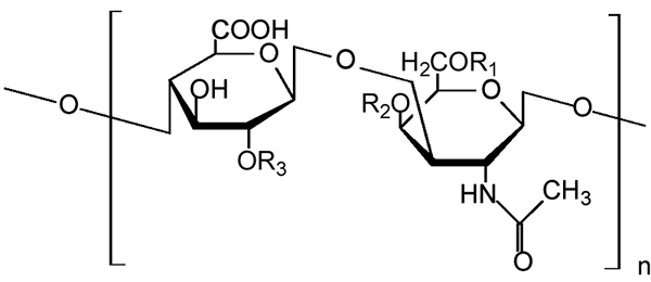 Quelle est la différence entre l'acide hyaluronique et le sulfate de chondroïtine