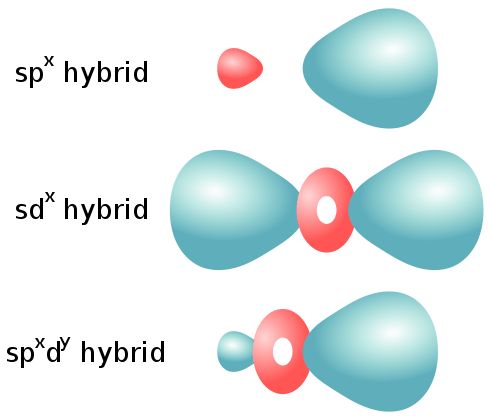 ¿Cuál es la diferencia entre los orbitales hibridados y noridiados?