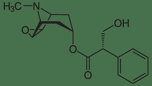 Apakah perbezaan antara hyoscine hydrobromide dan hyoscine butylbromide