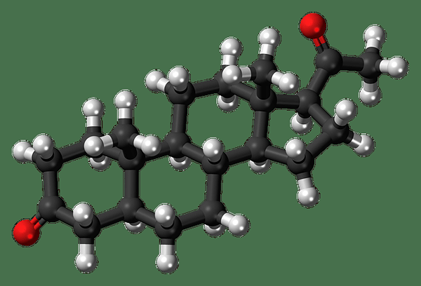 ¿Cuál es la diferencia entre isoprenoides y esteroides?